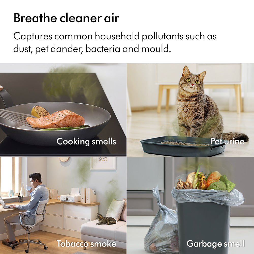 Dyson Purifier Cool™ TP11 Air Purifier Fan White/Silver (PC1)